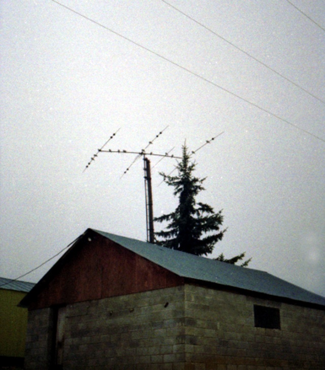 Antenna Birds!